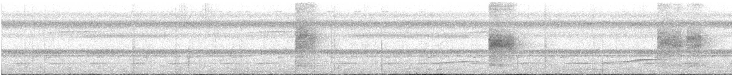 アカハラサンコウチョウ（tricolor／neumanni） - ML37120411