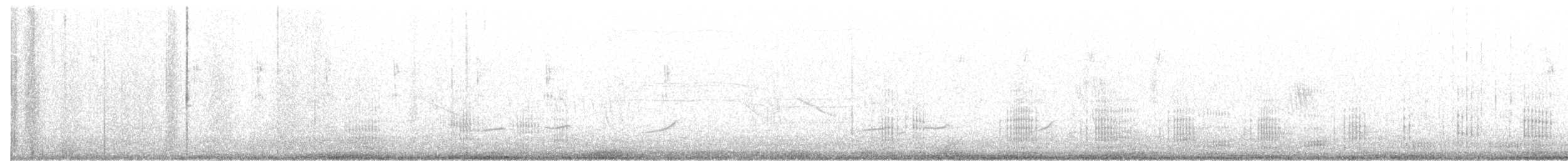 Neotropic Cormorant - ML371206981