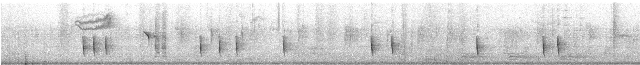 Дрізд-короткодзьоб плямистоволий - ML371256251