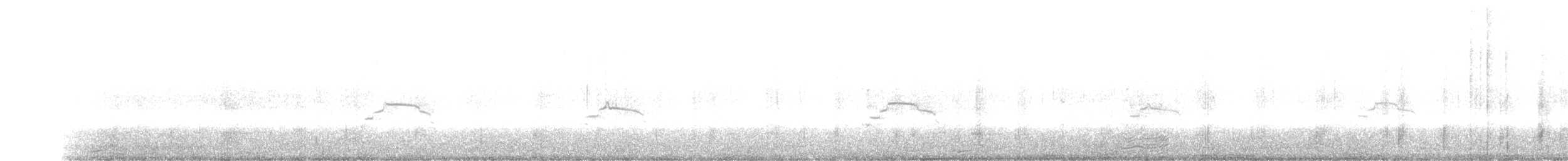 racek stříbřitý (ssp. smithsonianus) - ML371291641