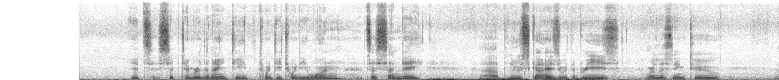Cisticole paresseuse (groupe aberrans) - ML371516651