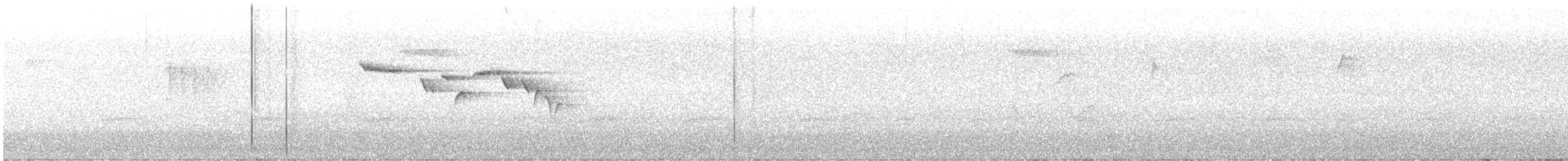 Brown Creeper - ML371577941