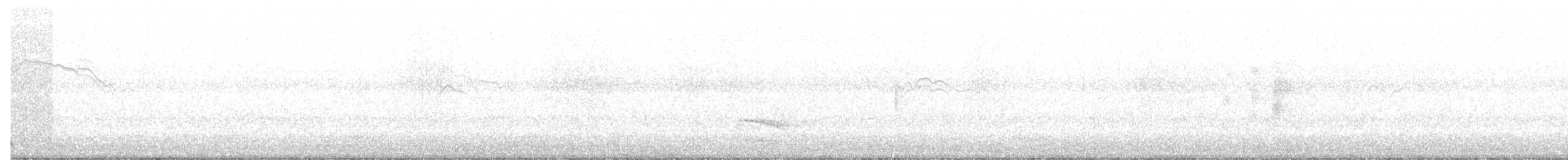 Australian Owlet-nightjar - ML371629301