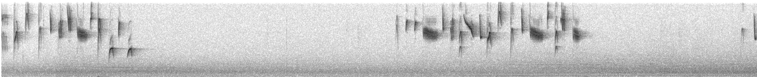 Zuckervogel - ML371632951