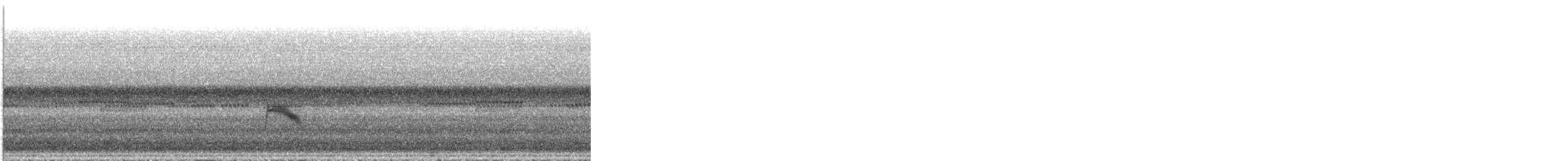 Gray-cheeked Thrush - ML371640651