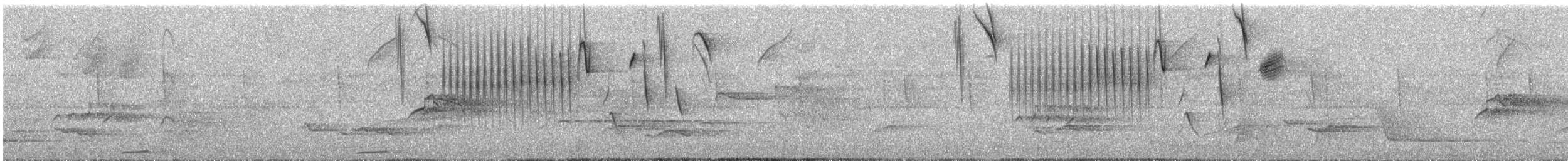 Zuckervogel - ML371648801