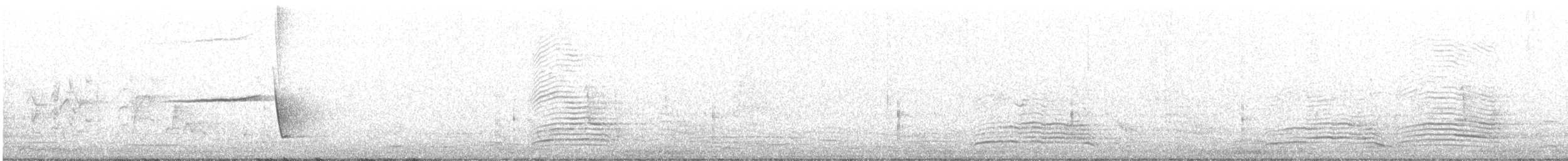 Schlichtmantel-Dickkopf - ML371766491