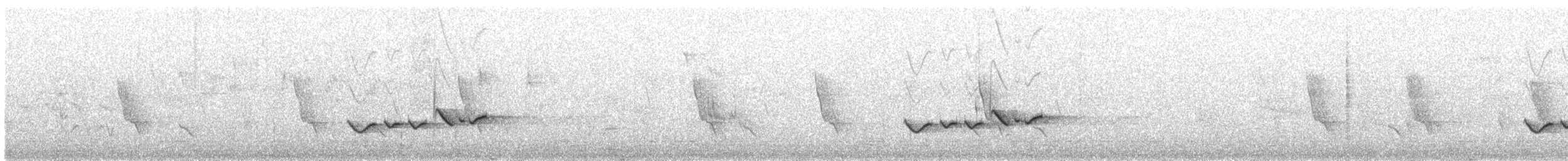 White-tailed Iora - ML371780121