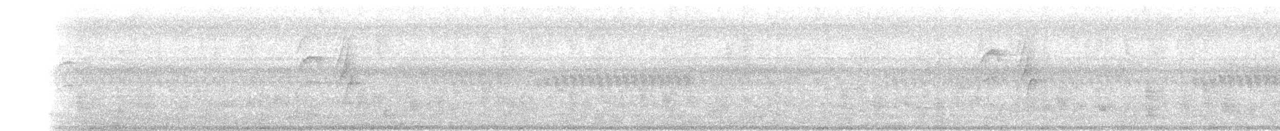 Черногорлая нектарница - ML371803081