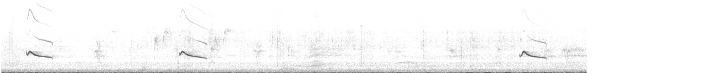 Say's Phoebe - ML371862341