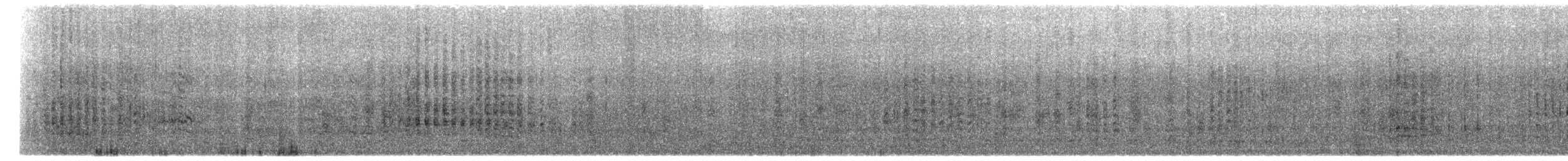 buřňák černobílý - ML371921811