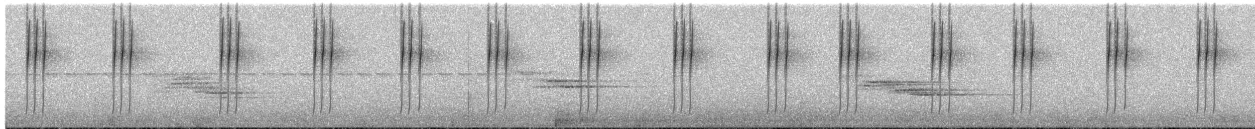 Mexikonymphe - ML371971781