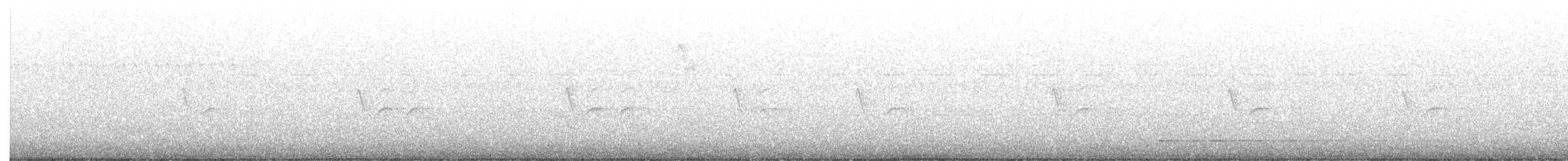 Бор шувууны багын тодорхойгүй зүйл - ML372043471
