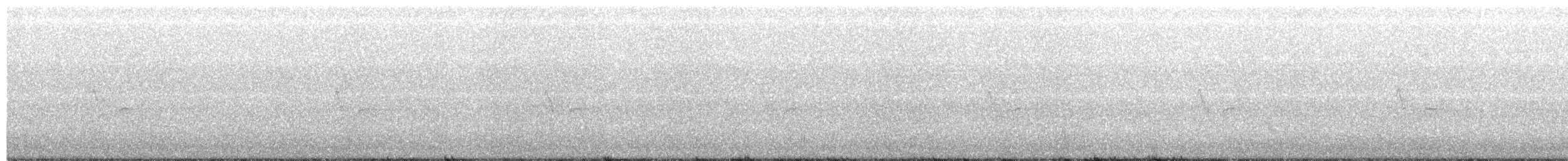Бор шувууны багын тодорхойгүй зүйл - ML372044681
