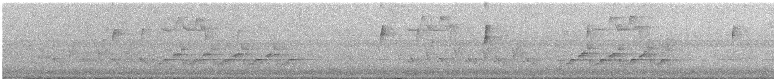 Поплітник каролінський - ML372056061