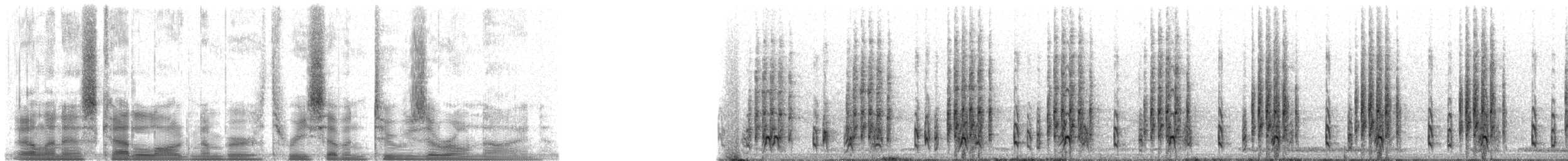 Ohrfleck-Bartvogel (usambiro) - ML37209