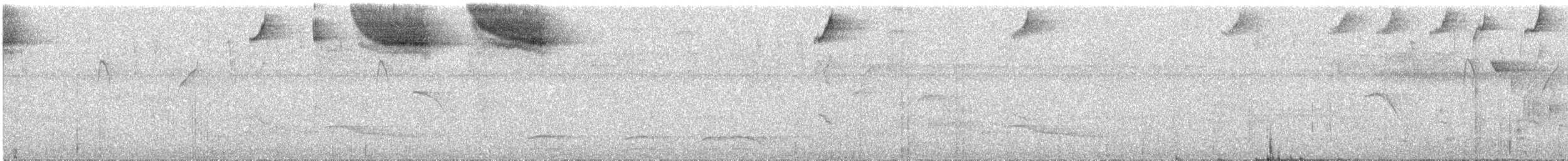 Pectoral Sparrow - ML372119471