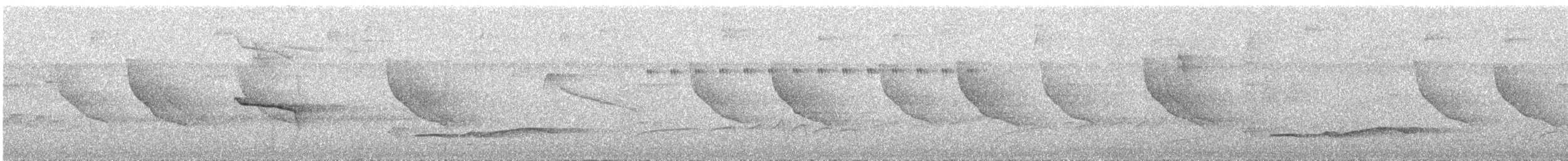 Weißgesicht-Ameisenvogel - ML372127961