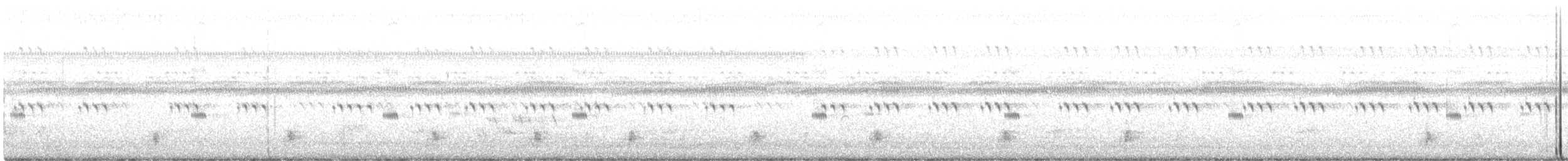 Schwarzkehl-Nachtschwalbe - ML372142681