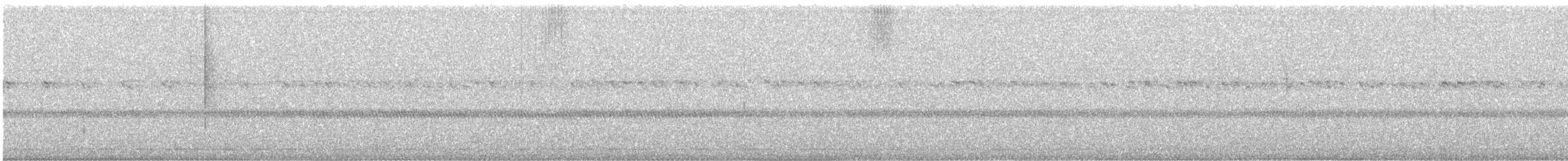 Australian Owlet-nightjar - ML372172661