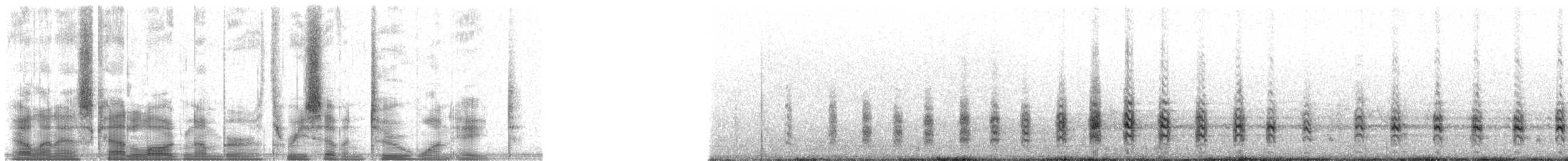 Hildebrandtfrankolin - ML37218