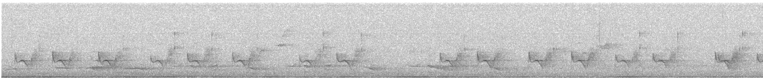 Restless Flycatcher - ML372200301