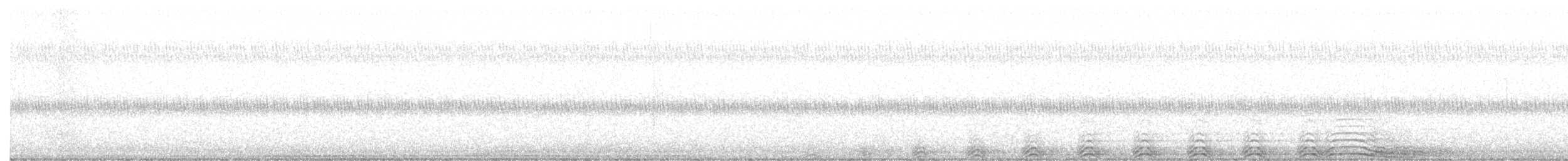 Barred Owl - ML372205811