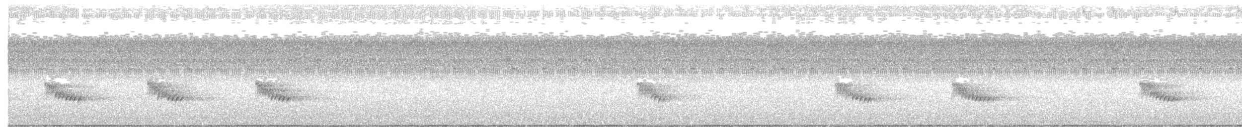 Каролинский крапивник - ML372206121