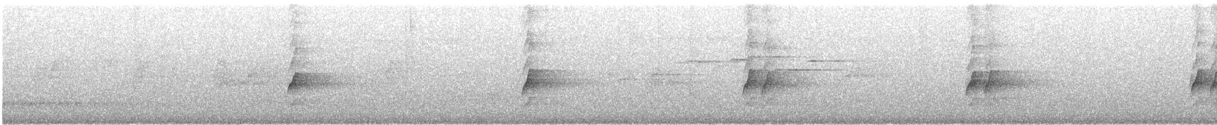 Australian Logrunner - ML372239701