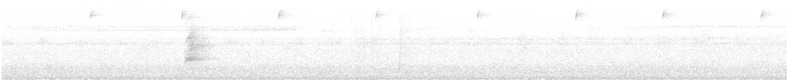 Пласкодзьоб західний - ML372258181