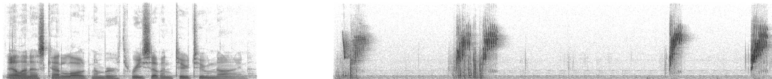 スミレコバシタイヨウチョウ - ML37229