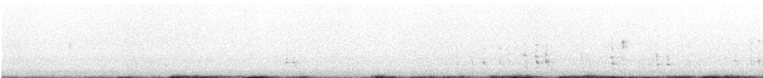 Black-tailed Godwit - ML372340551