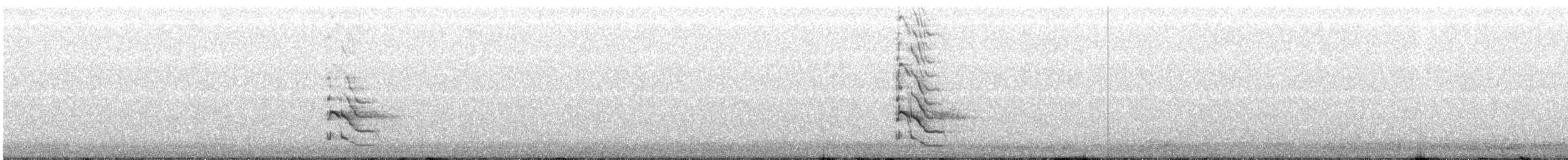 Шилоклювый дятел (luteus x cafer) - ML372361781