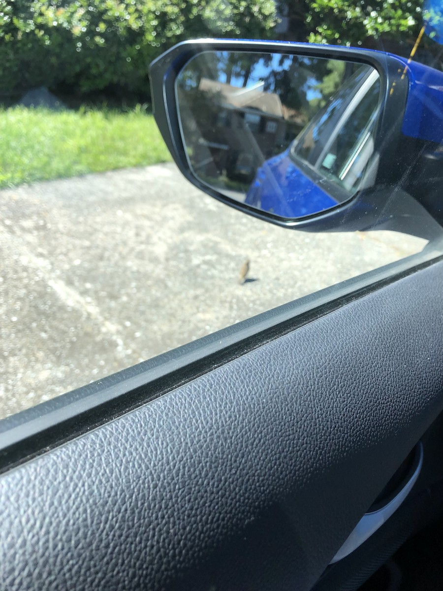 Palm Warbler - ML372390891