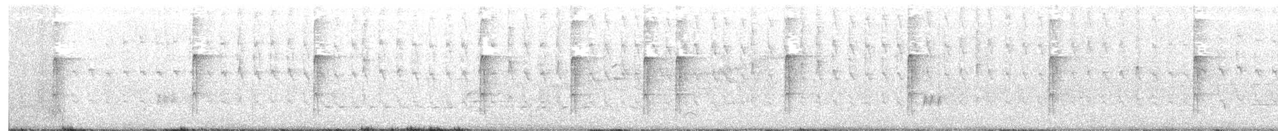 Pic chevelu (groupe villosus) - ML37243961