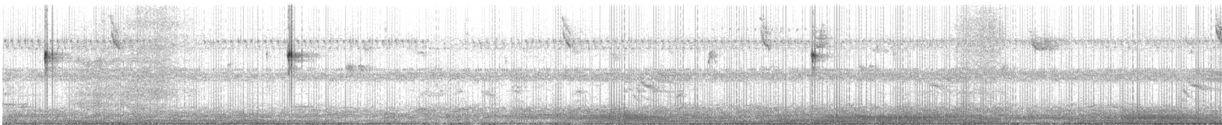 Black-throated Green Warbler - ML372455111