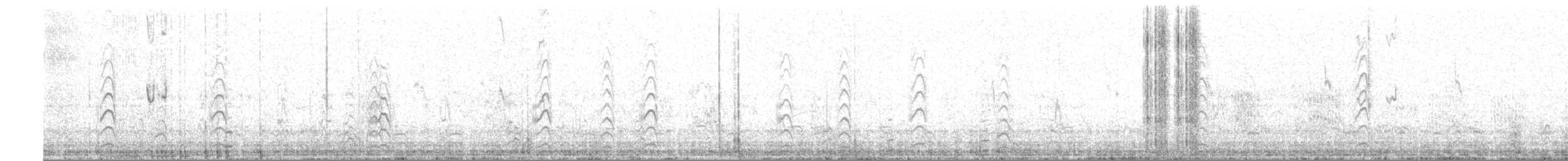 Yellow-billed Tern - ML372514031