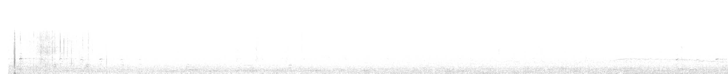 Magellanic Snipe - ML372525371