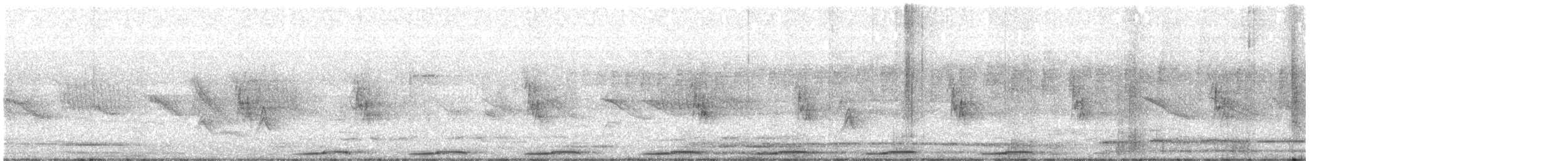 Picui Ground Dove - ML372545351