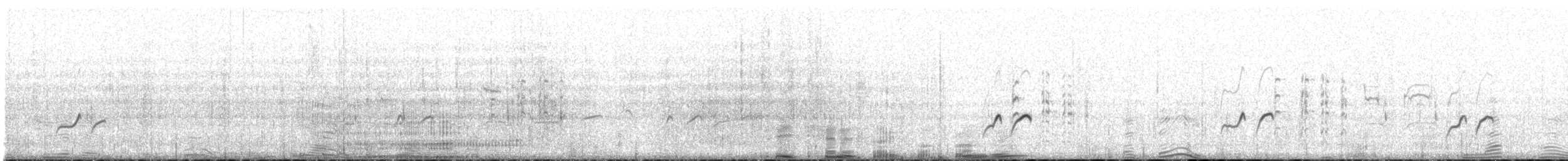 Длинноногая тиркушка - ML372574901