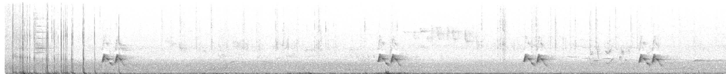 キボシホウセキドリ（substriatus） - ML372606231