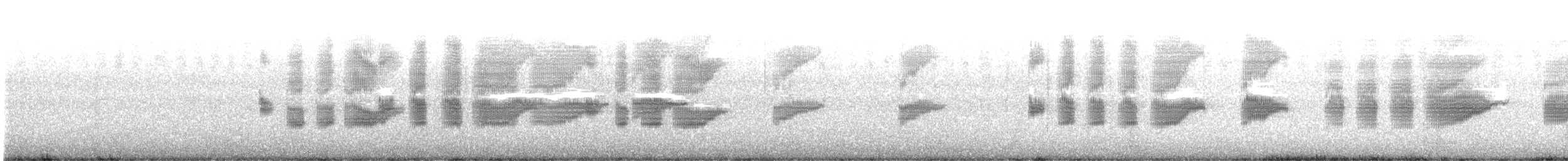 Boat-tailed Grackle - ML372626441