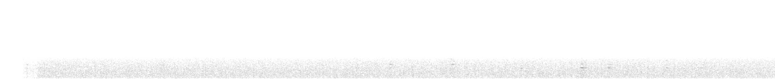 Weißbrustkleiber - ML372666901