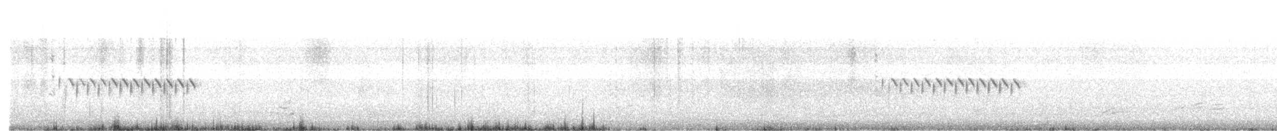 Troglodyte de Latham - ML372832891