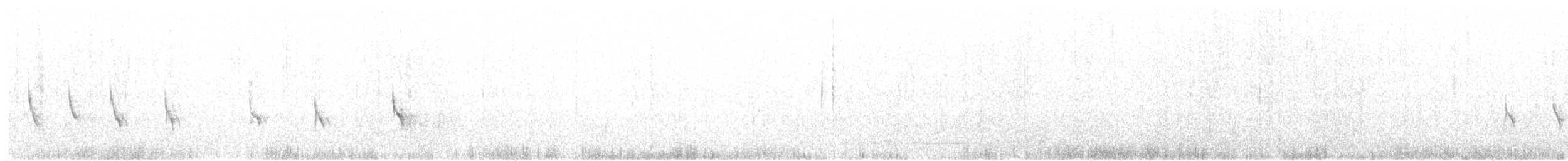 Pipit à long bec - ML372927501