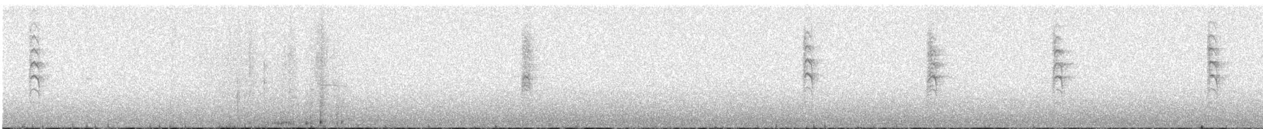 Новозеландская веерохвостка - ML372932061