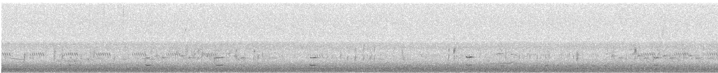 ברודית אמריקנית - ML373038081