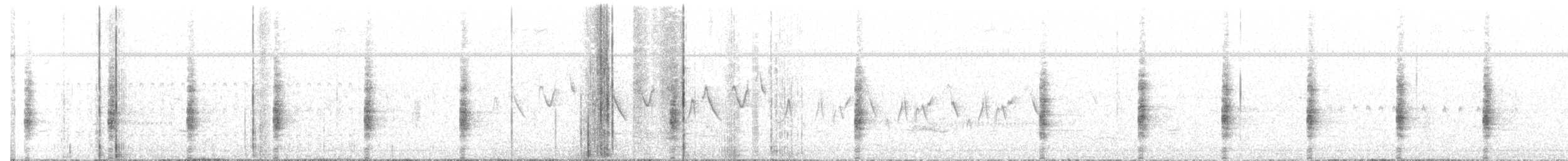 Clapper Rail (Gulf Coast) - ML373047441