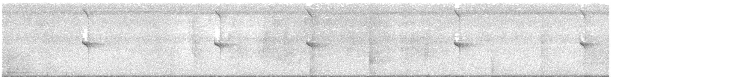 Белогузый колибри - ML373059631