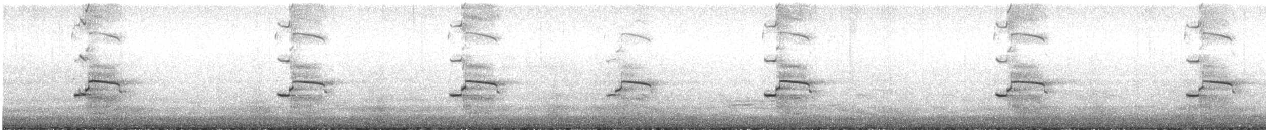 Gaviota Occidental x de Bering (híbrido) - ML373064251